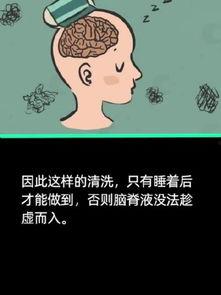 睡傻了图片,揭秘深度睡眠后的奇妙世界