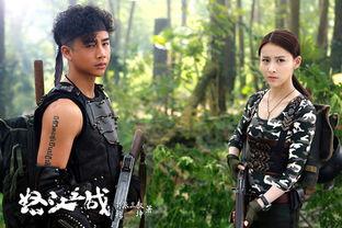 贾青娱乐小说,贾青笔下的璀璨星途